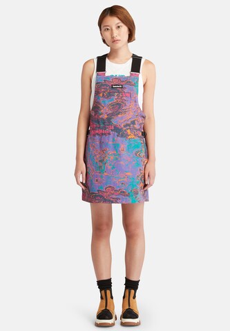 TIMBERLAND Overall Skirt 'Celebrate' in Mixed colors