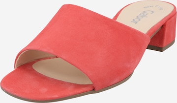 GABOR Mules in Orange: front