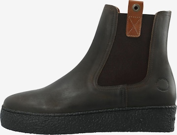 Ca'Shott Chelsea Boots 'CASCAMILLA' in Braun: Vorderseite