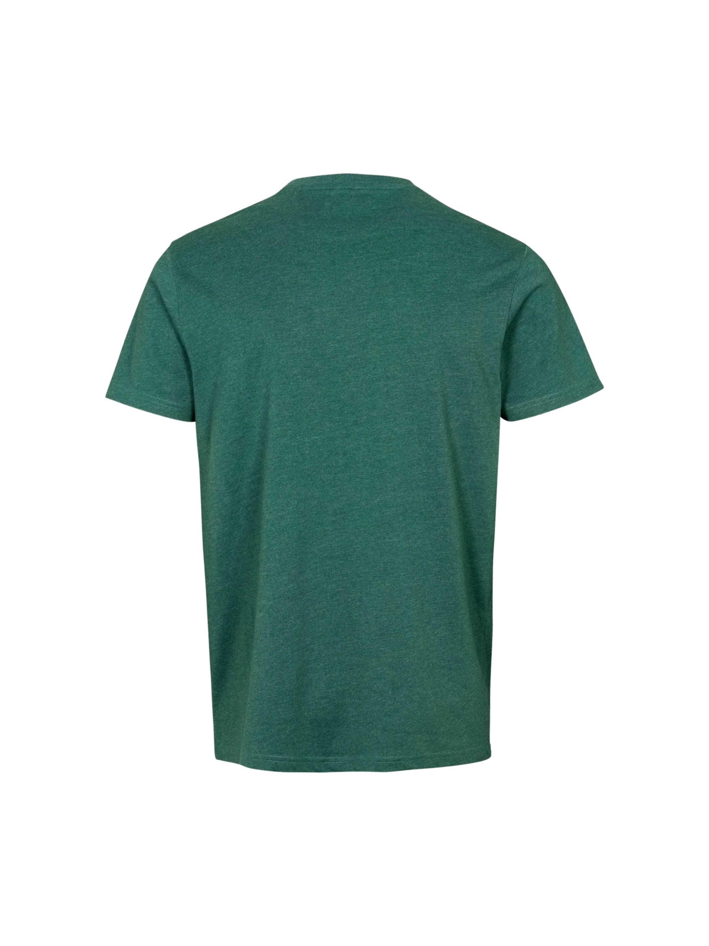 U.S. POLO ASSN. Regular fit Overhemd ' Arjun ' in Groen