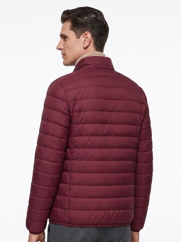 ALLTHEMEN Winterjas 'Stichwerk' in Rood