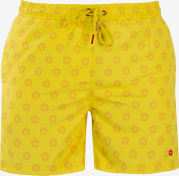 Frozen Cape Swimming Trunks in Mixed colors: front