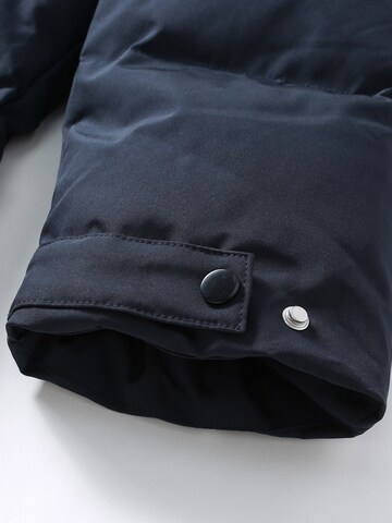 ALLTHEMEN Winter Coat 'Flaum' in Blue