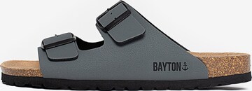 Bayton Mules 'Atlas' in Grey: front