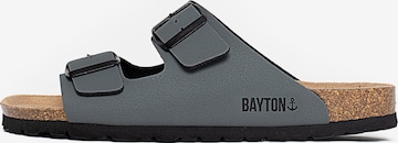 Bayton Mule 'Atlas' in Grey: front