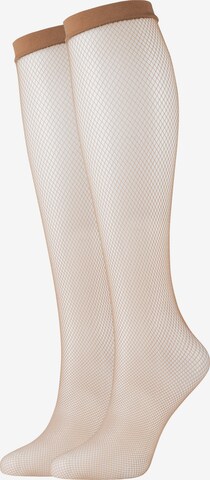 camano Fine Stockings 'Season' in Beige: front