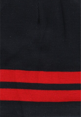 Whistler Muts 'Berloy' in Blauw