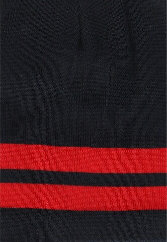 Whistler Beanie 'Berloy' in Blue