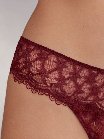 INTIMISSIMI Thong in Red