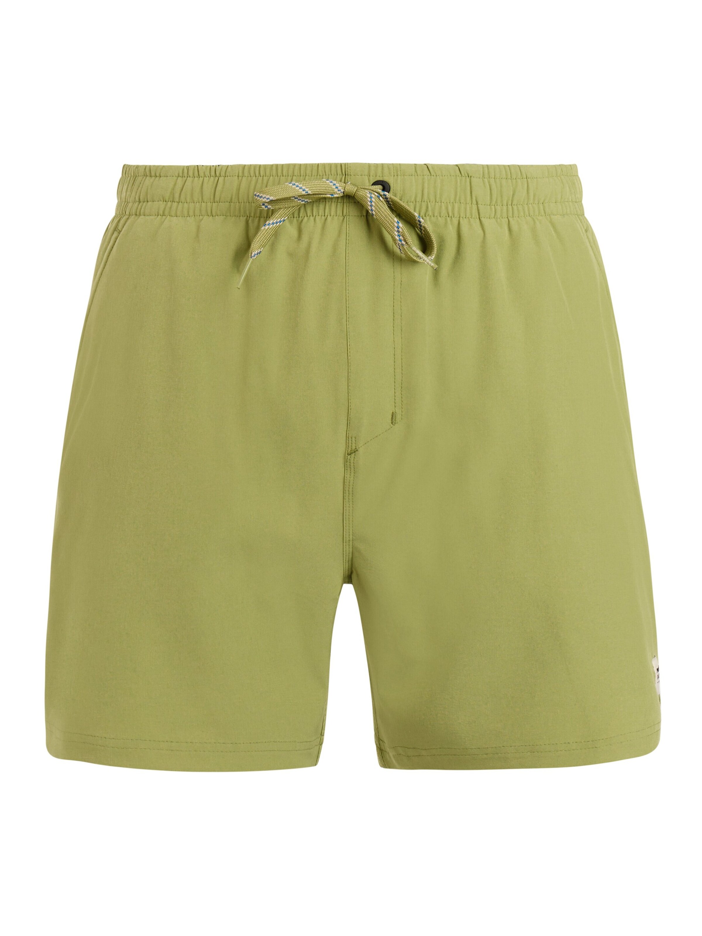 PROTEST Badeshorts 'PRTIgapo' in Grün: Vorderseite