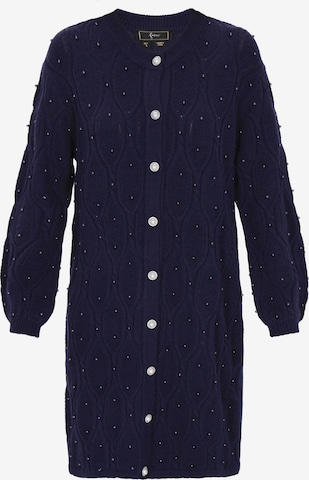 faina Gebreid vest in Blauw: voorkant