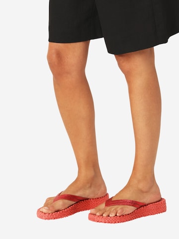 ILSE JACOBSEN Teenslipper 'Cheerful13' in Rood: voorkant