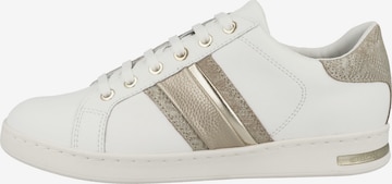 GEOX Sneakers laag 'Jaysen' in Wit: voorkant