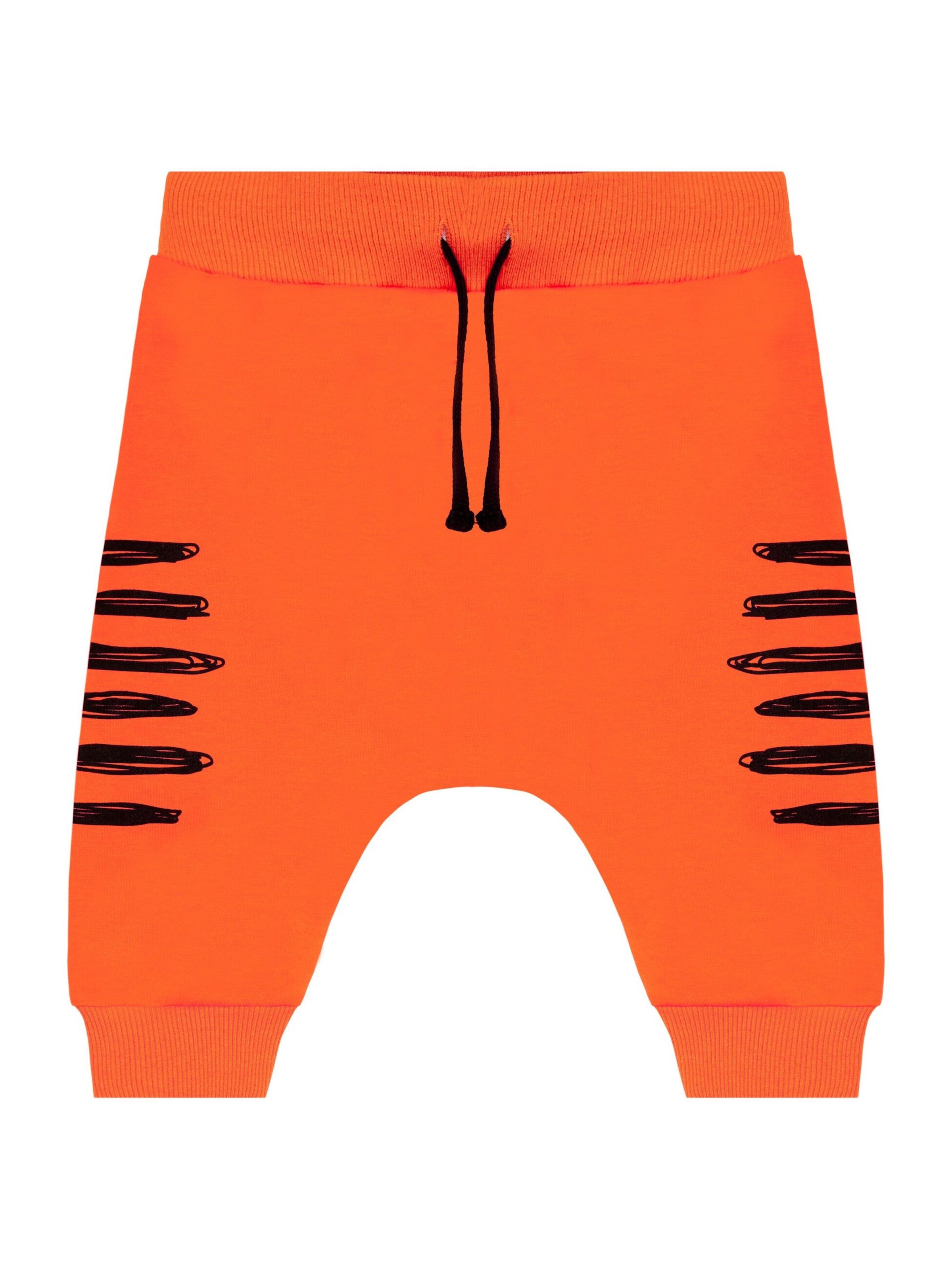 Set 'Orange Tiger' Denokids en gris