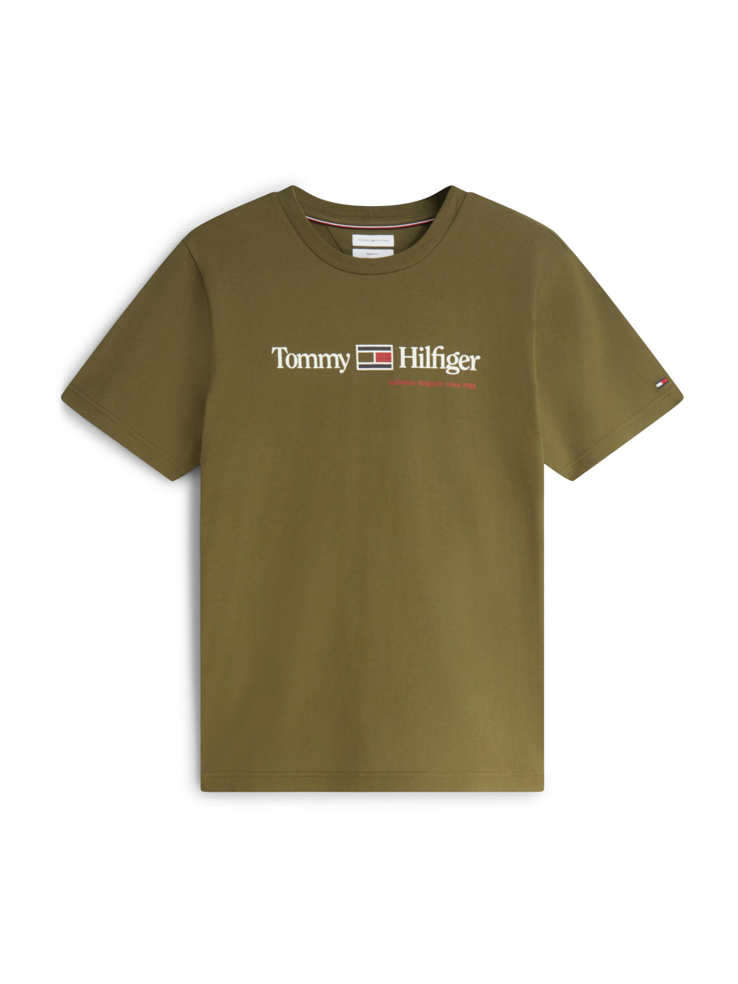 TOMMY HILFIGER Тениска 'Brand Love' в зелено: отпред