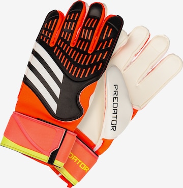 ADIDAS PERFORMANCE Athletic Gloves 'Predator Match' in Orange: front