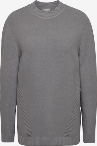 Pull-over Goldner en gris : devant