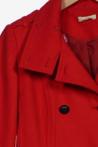 Promod Jacket & Coat in M in Red
