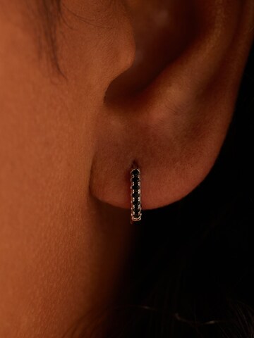 Lucardi Oorbellen in Zilver