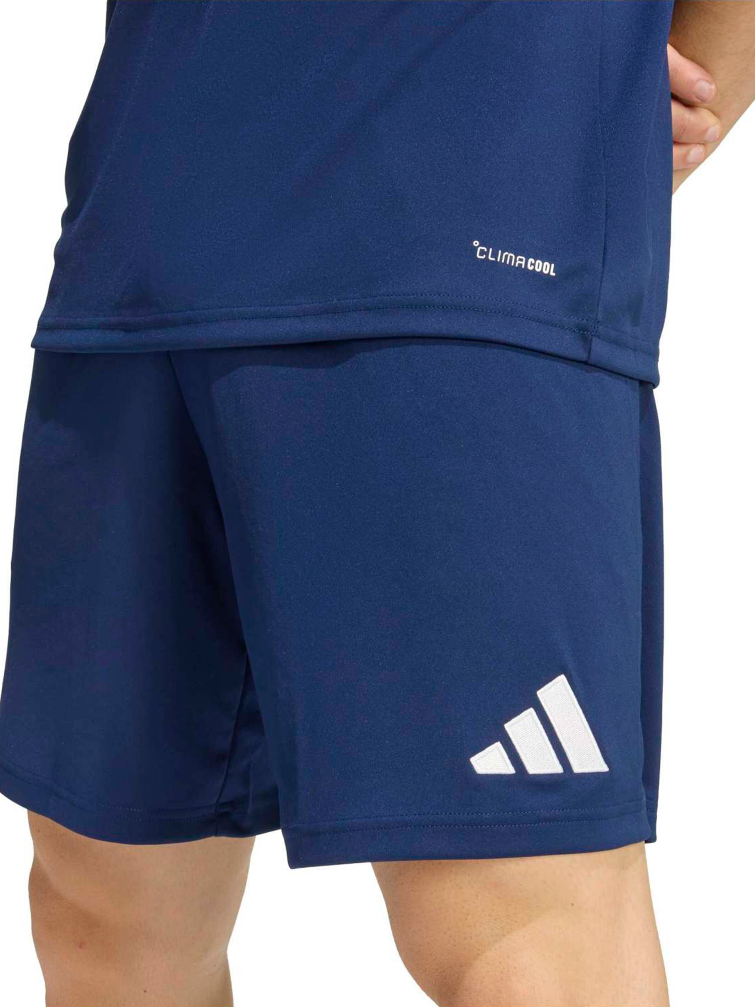 ADIDAS PERFORMANCE Regular Sports trousers 'Entrada 26' in Blue