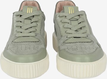 Crickit Sneakers 'MAURA' in Green