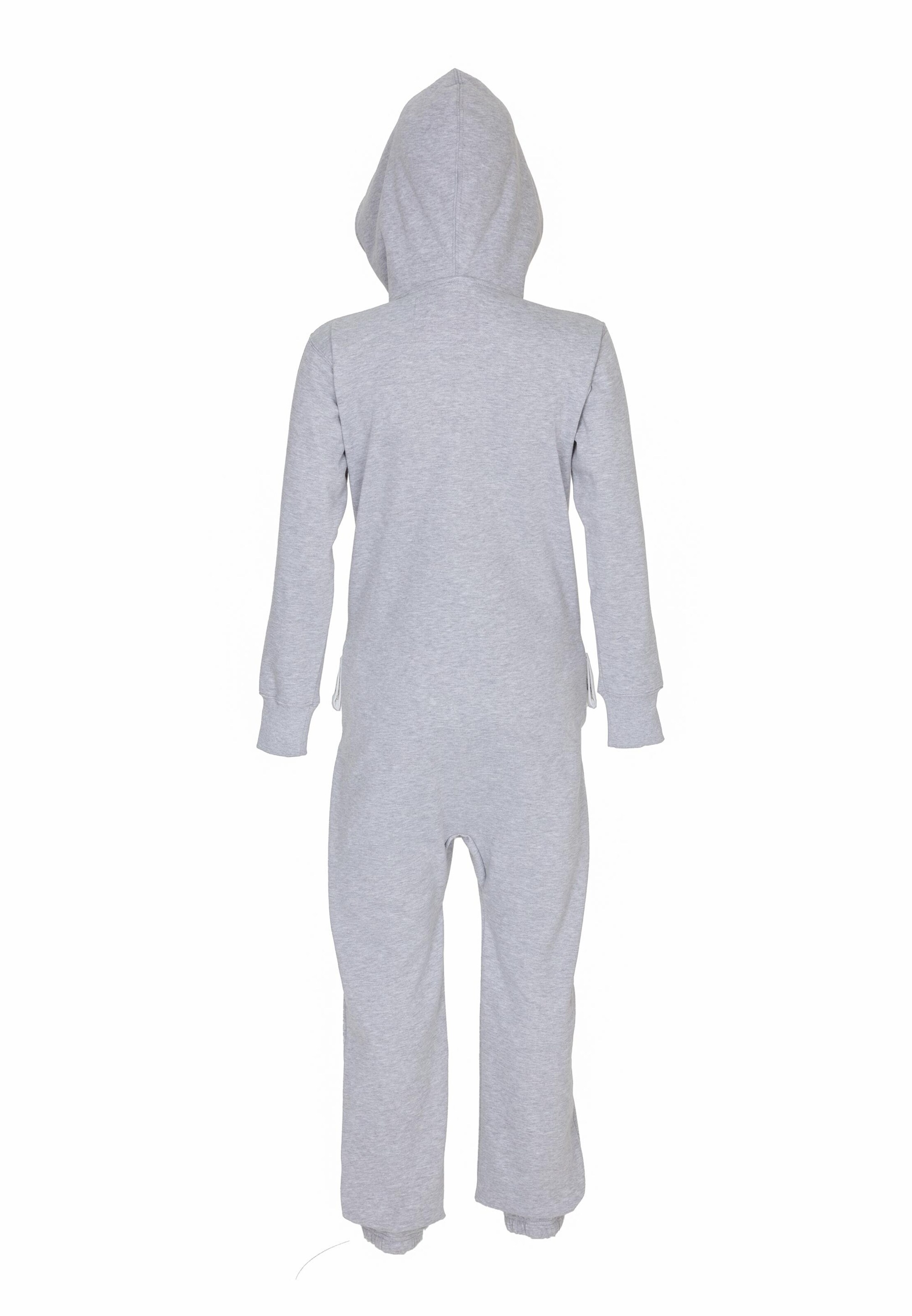 Moniz Jumpsuit in Grau