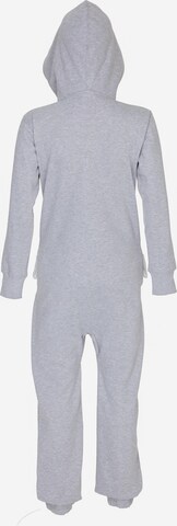 Moniz Jumpsuit in Grey