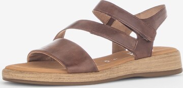 GABOR Sandals in Brown: front