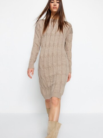 Trendyol Kleid in Braun