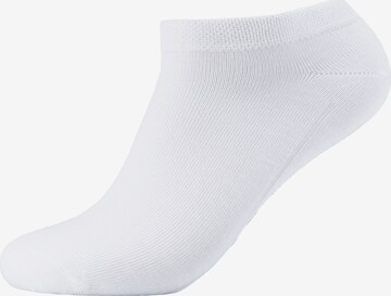 camano Socken in Grau