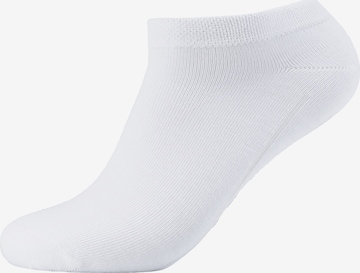 camano Socken 'Charlie' in Weiß
