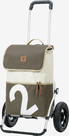 Trolley di Andersen Shopper in grigio: frontale