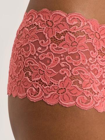 Hanro Panty ' Moments ' in Pink