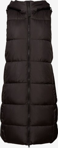 ESPRIT Bodywarmer in Zwart: voorkant