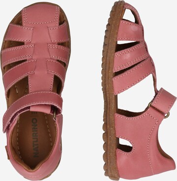 NATURINO Open shoes 'See' in Pink