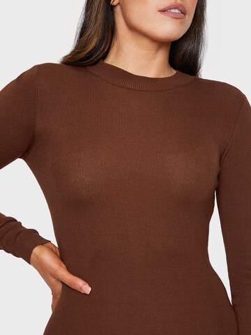 Threadbare Knit dress 'Amethyst' in Brown