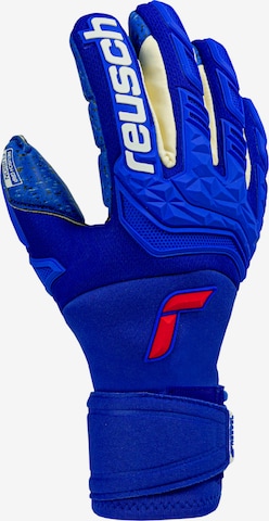 REUSCH Sporthandschuhe 'Attrakt Freegel Fusion Goaliator' in Blau: predná strana