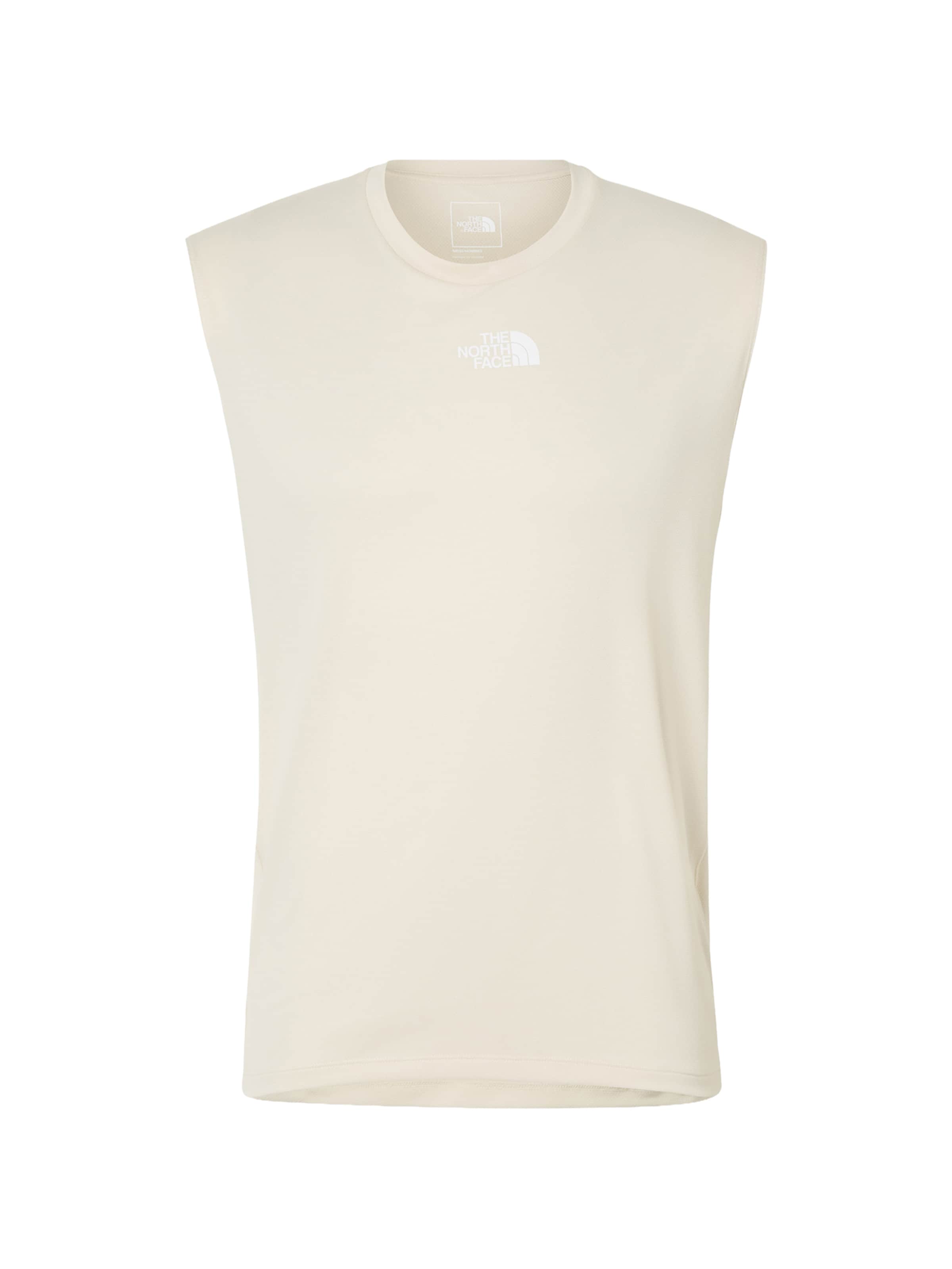 T-Shirt fonctionnel THE NORTH FACE en gris : devant