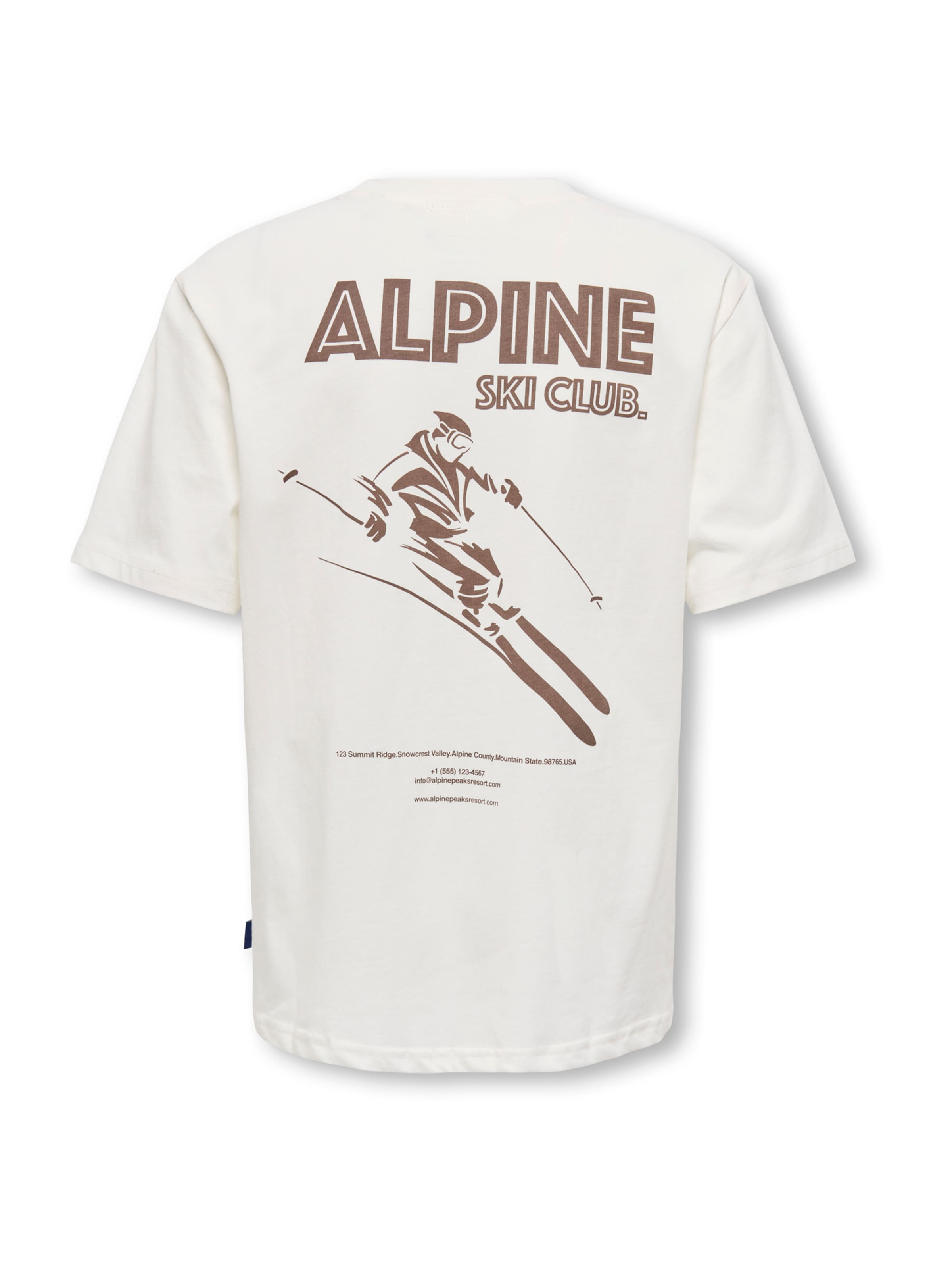 Only & Sons Junior T-shirt 'OSJLARRY' i vit