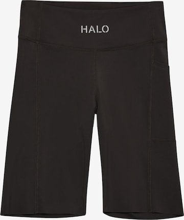 HALO Workout Pants in Brown: front