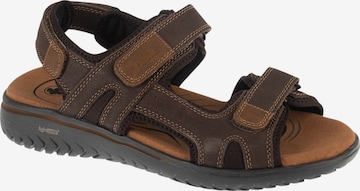 Rieker Hiking Sandals in Brown: front