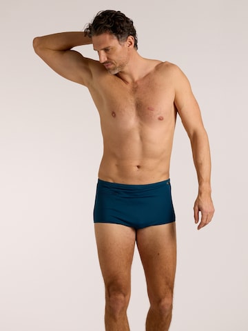 wavebreaker Swim Trunks in Blue