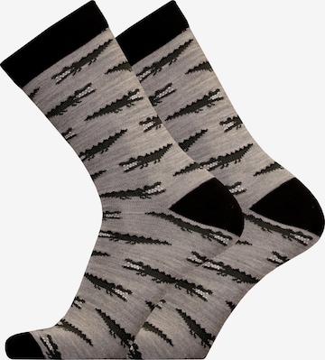 UphillSport Socks 'CROCODILE' in Grey: front