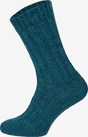 HomeOfSocks Socks 'HOS2203' in Green: front