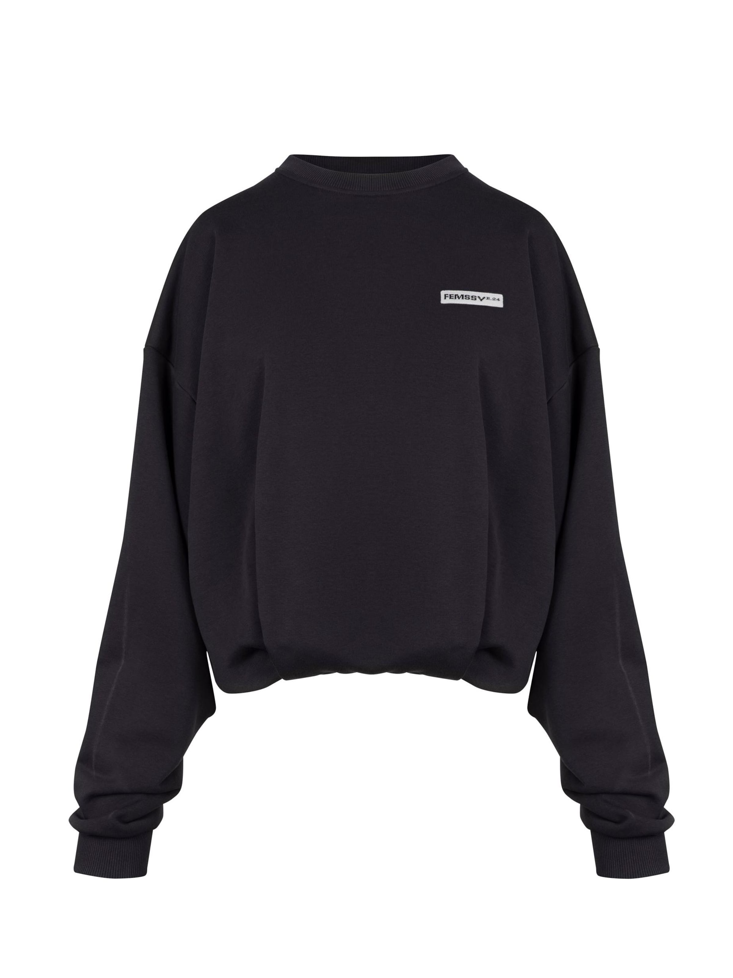 FEMSSY Sweatshirt in Grey: front