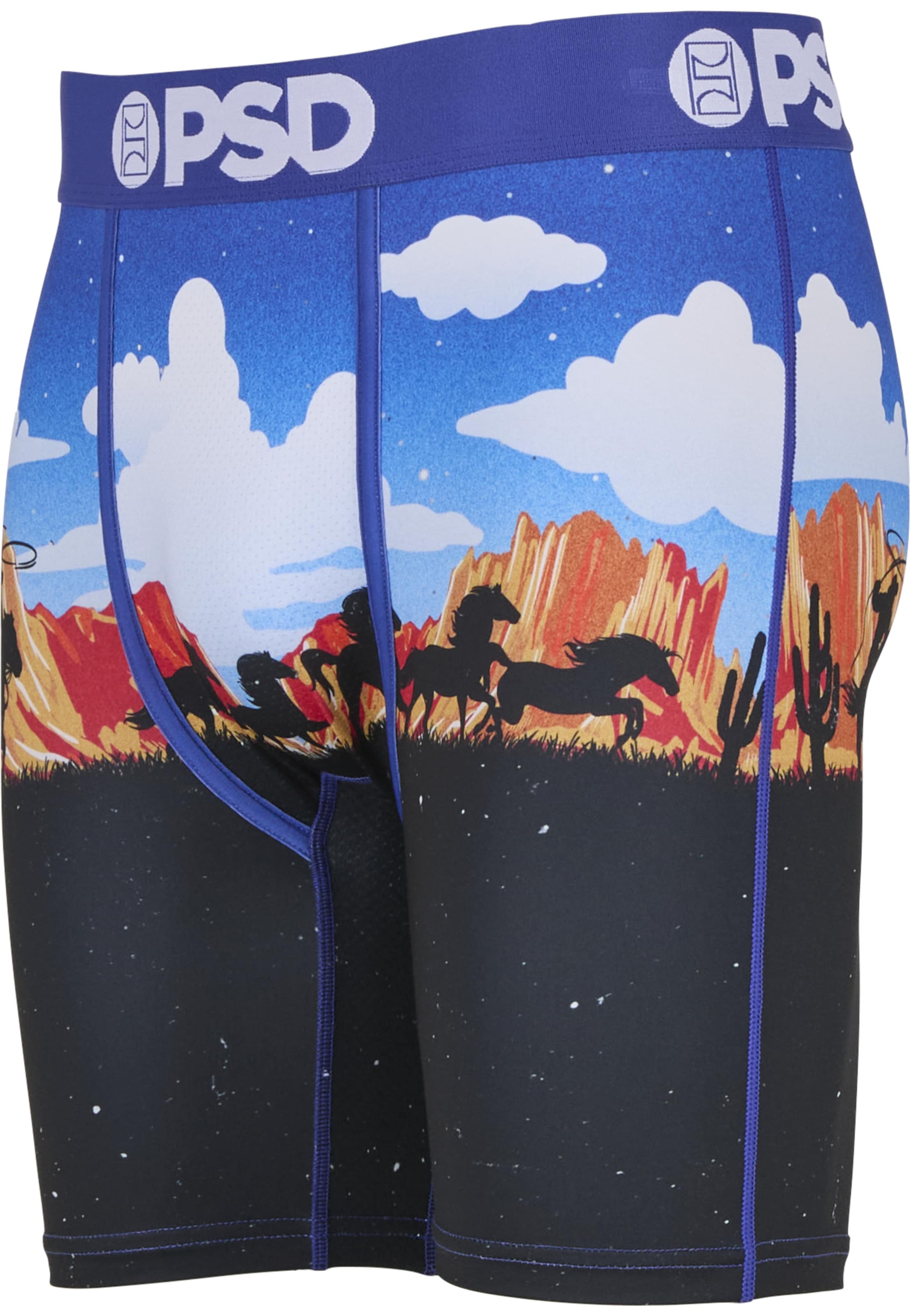 Boxers 'ACE HIGH' PSD en mélange de couleurs