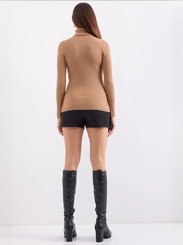 Bigdart Sweater in Beige