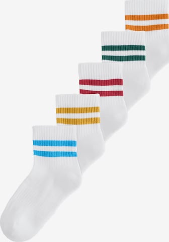 balta Next Kojinės: priekis