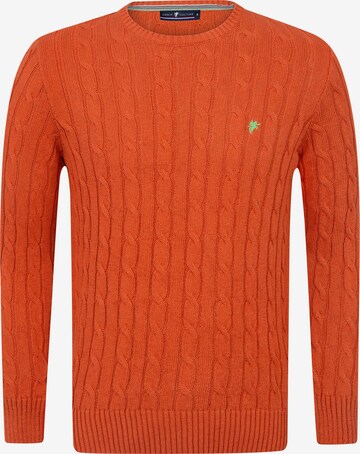 DENIM CULTURE Sweater 'Jeffrey' in Orange: front