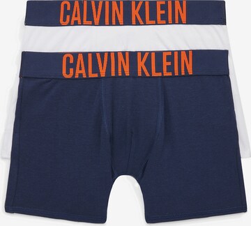 Calvin Klein Underwear Underpants 'Intense Power' in Blue: front